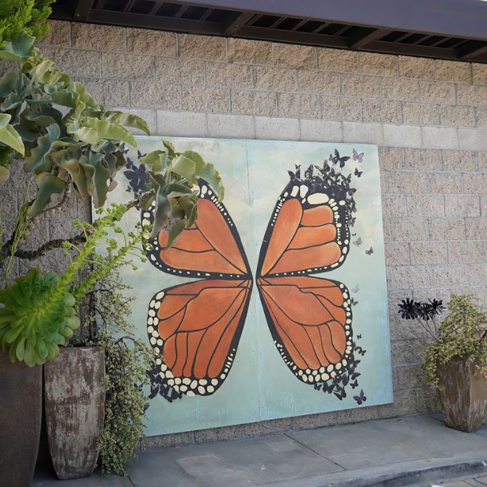 Butterfly wall on NDFW campus