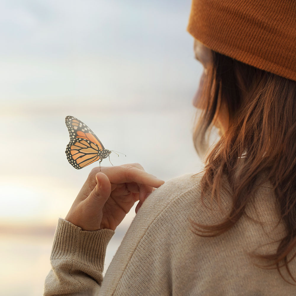 Colorful butterfly is laying on a woman's hand