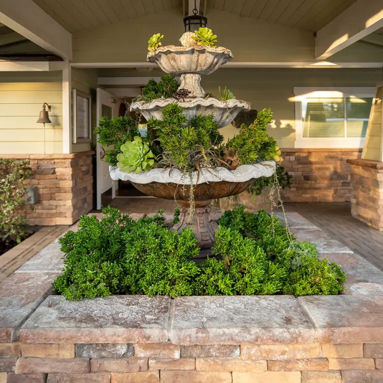 Women’s Dual Diagnosis Treatment Center in California